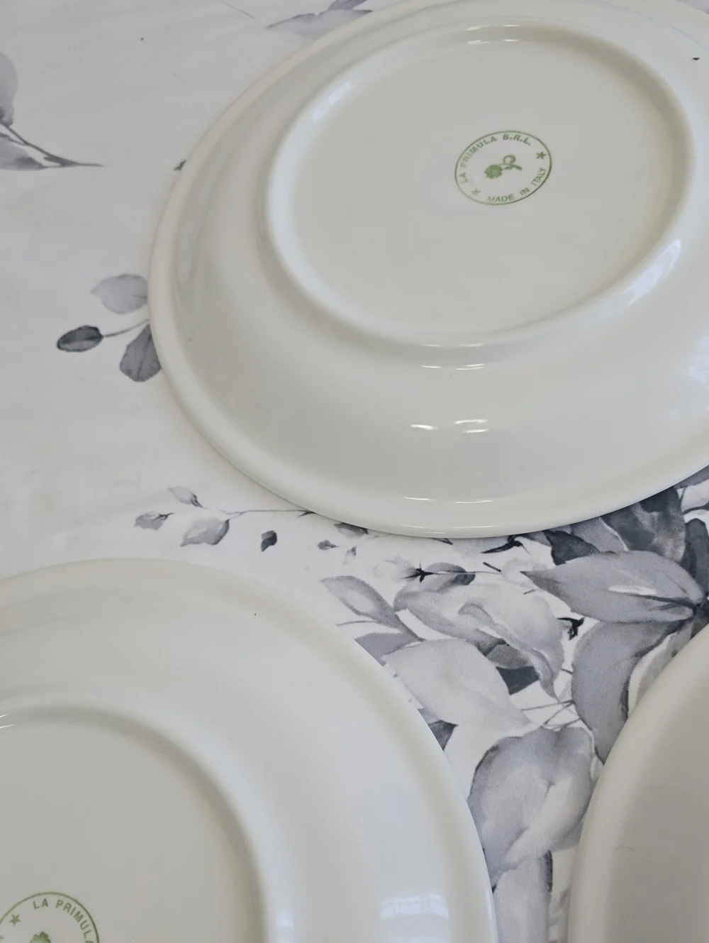 La Primula S.R.L. Set Of 3 Ceramic Dinner Plates Green Red Trim Made In Italy